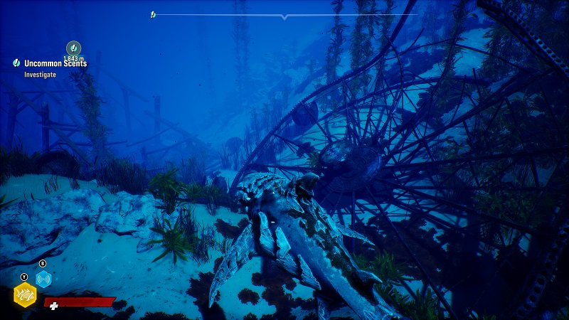 Maneater: a shark swimming along a sea bed.